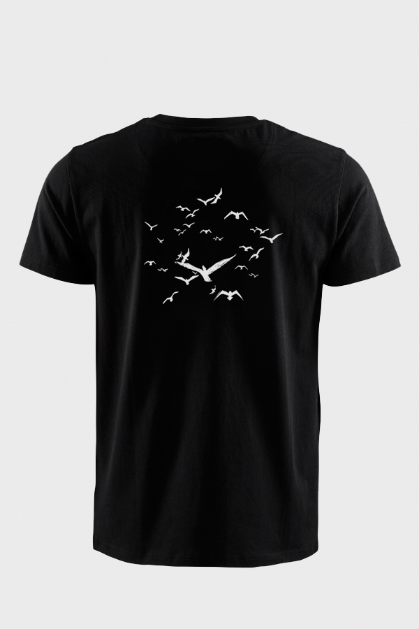 BW Birds